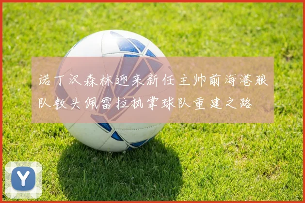诺丁汉森林迎来新任主帅前海港狼队教头佩雷拉执掌球队重建之路