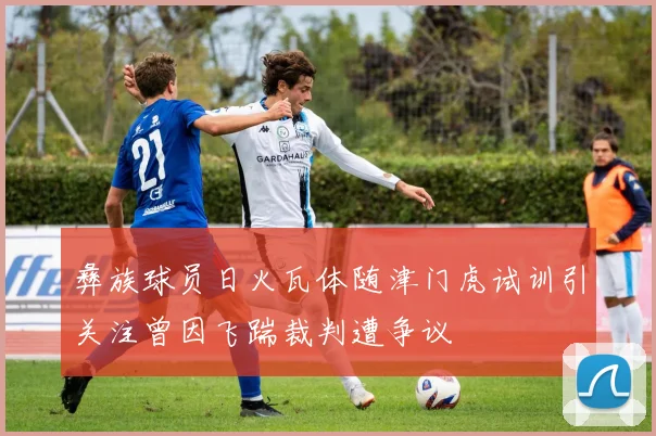 彝族球员日火瓦体随津门虎试训引关注曾因飞踹裁判遭争议