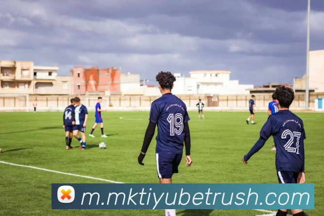 MK体育APP 封面图